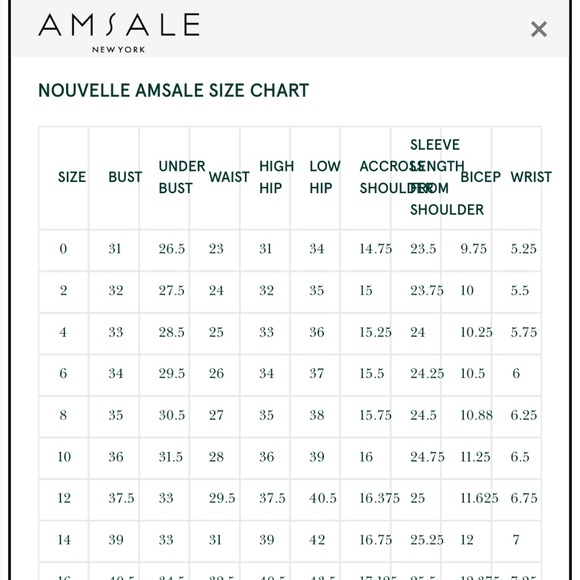 Amsale Reed Wedding Gown 10 - Picture 4 of 13